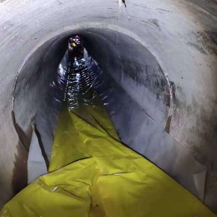 武隆管道光固化修复